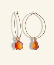 Load image into Gallery viewer, Kattegat Amber Hoops