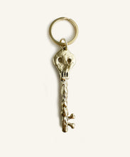 Load image into Gallery viewer, Skeleton Key. Brass
